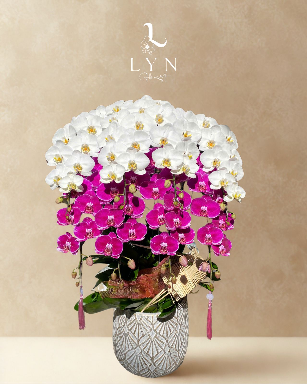 Chậu Hoa Lan Tím 0X1460 mix Lan Trắng V3-1V